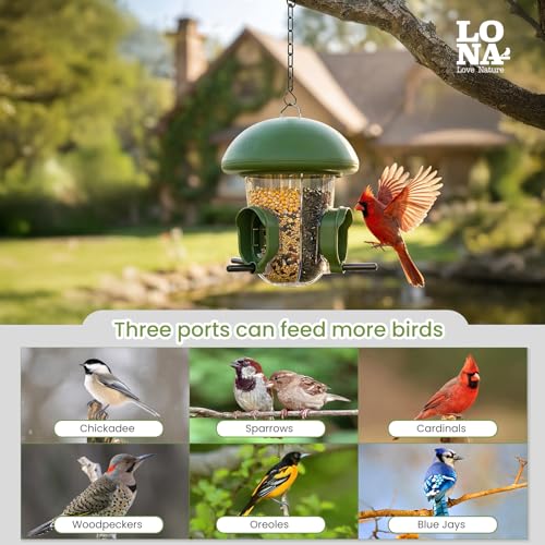 LONA Bird Feeder with 3 Compartments
