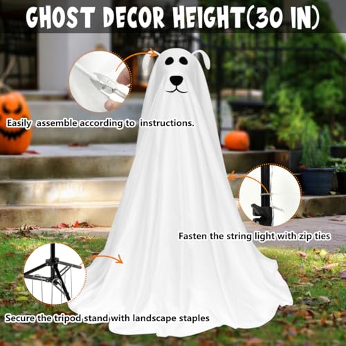 Halloween Decorations