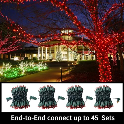 60LED Red Valentine Lights (60 Count)