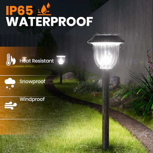 Solar Path Lights (12 Count)