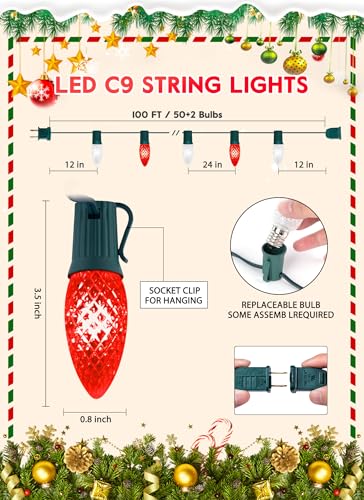 Outdoor Christmas Lights (50 Count)