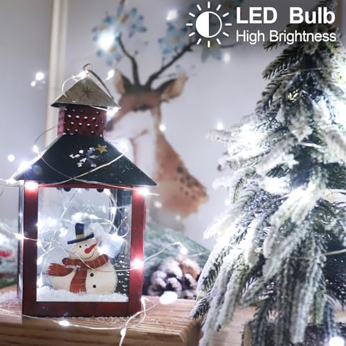 Christmas Fairy String Lights Battery Operated (33 Foot)