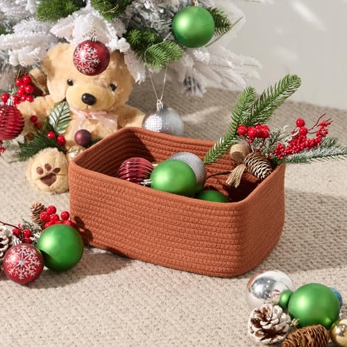 Small Storage Baskets for Organizing (3 Count)