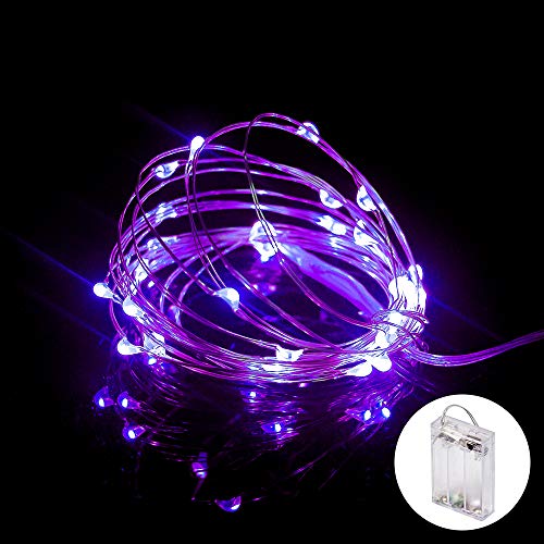 Purple Fairy Lights (10 Foot)