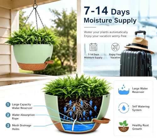 12" Self Watering Hanging Planters with Chains (2 Count)