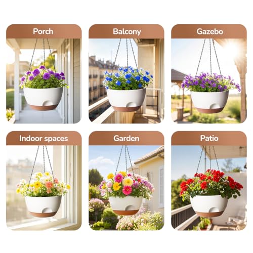 Hanging Planter