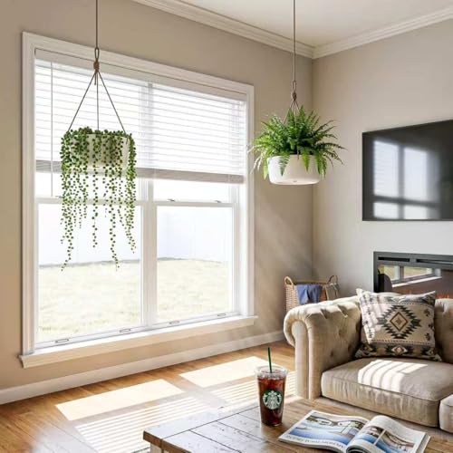 2 Pack 10.7 Inch Hanging Planter for Indoor Plants
