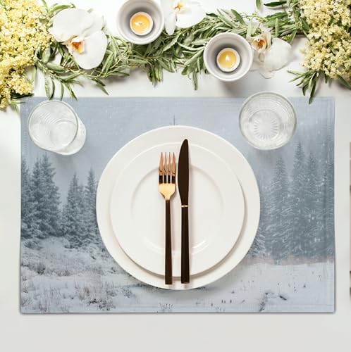 Winter Placemats Set of 4