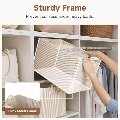 Closet Storage Bins (2 Count)