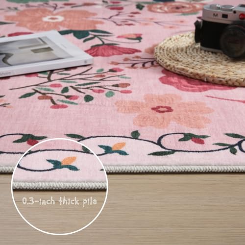 Area Rug 8x10 Washable