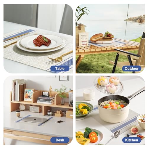 Placemats Set of 12 (12 Count)