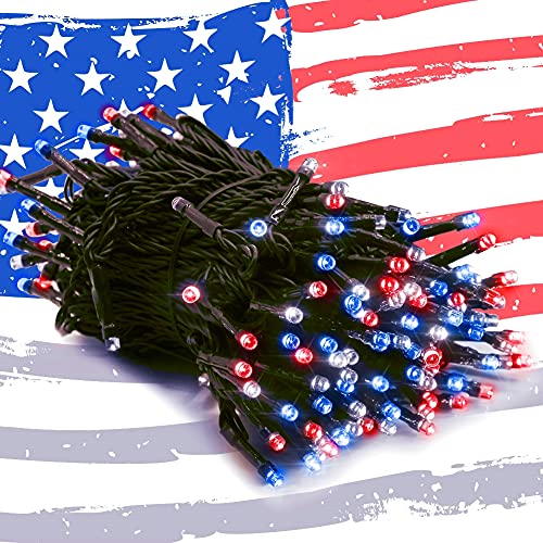 200 LED 66FT Fairy String Lights (66 Feet)