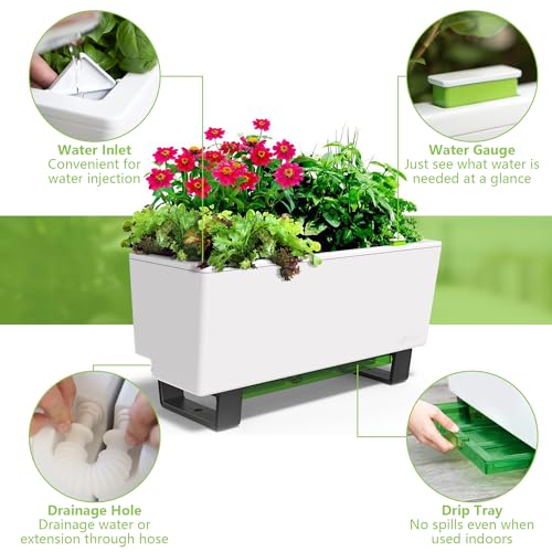 Self Watering Mini Bench Planter
