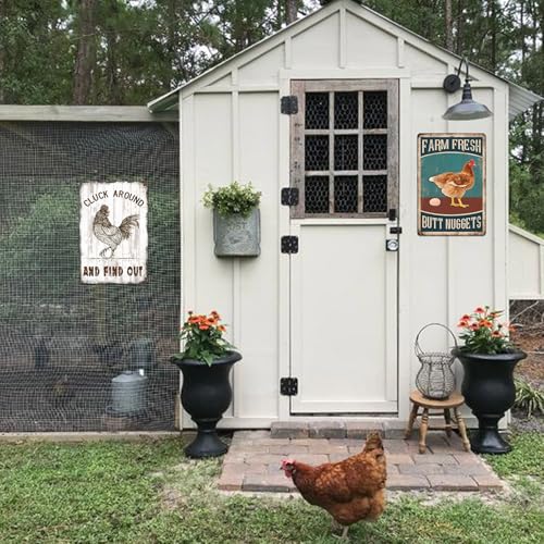 Chicken Coop Metal Signs for Outdoor