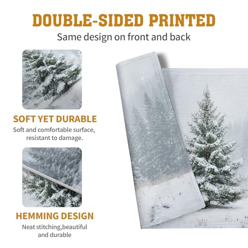 Winter Placemats Set of 4