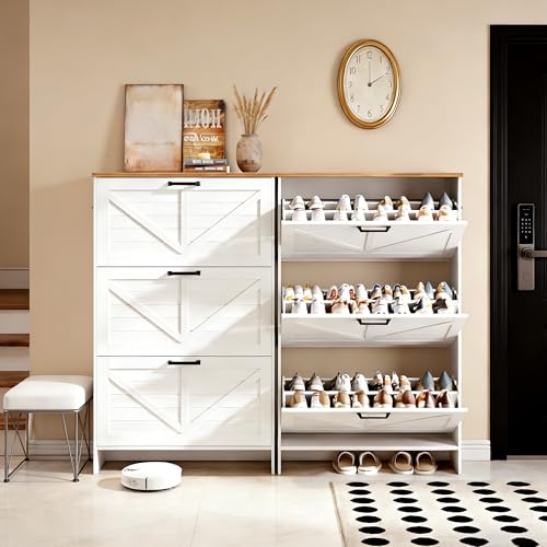 Shoe Cabinet for Entryway