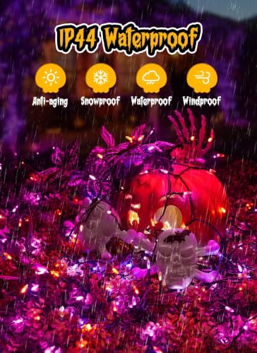 Orange Purple Outdoor Halloween Lights