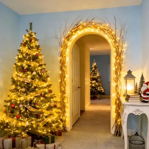 Christmas Lights Indoor Outdoor (100 Count)