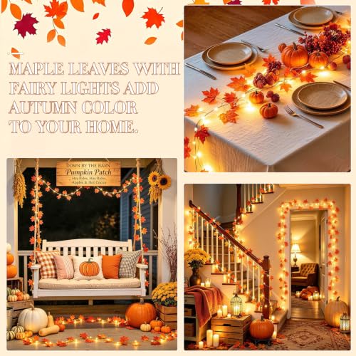 48 LED Maple Leaf Lights (48 Count)