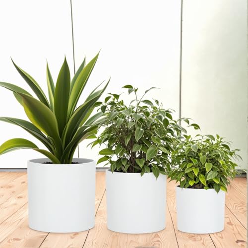 Large Planter for Indoor or Outdoor (3 Count)