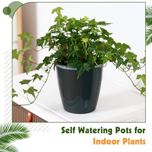 Self Watering Pots for Indoor Plants