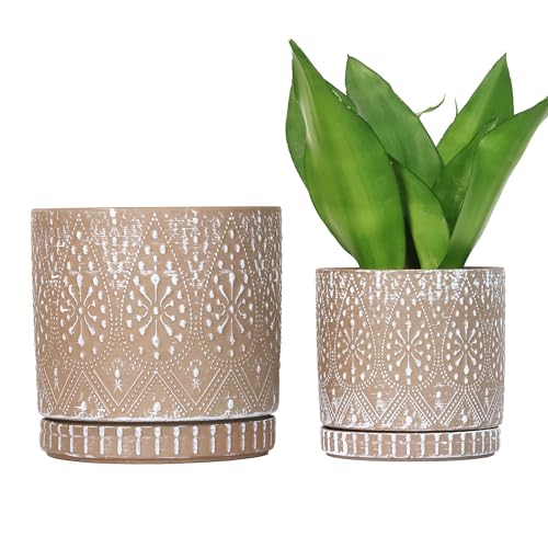 8 Inch + 6 Inch Plant Pot with Drainage Holes and Saucers (2 Count)