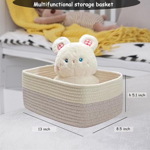 13" x 8.5" x 5.1" Storage Baskets for Organizing