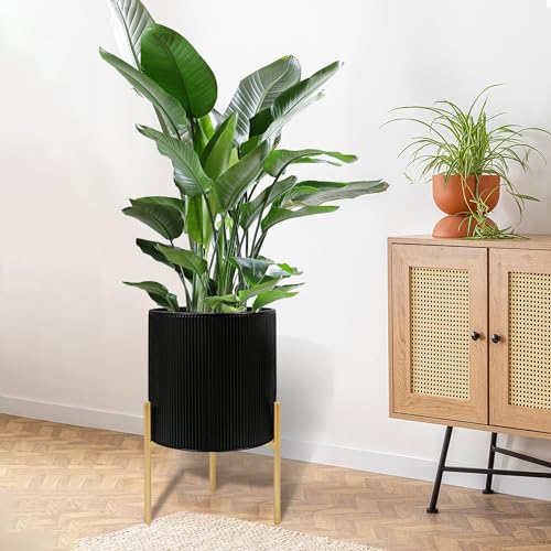 Modern Plant Pots (2 Count)