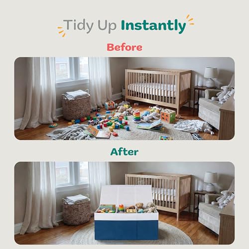 Extra Large Toy Storage Organizer with Lid