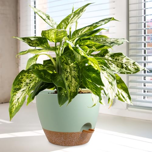 10/9/8 inch Self Watering Pots for Indoor Outdoor Plants, Set of 3 (3 Count)