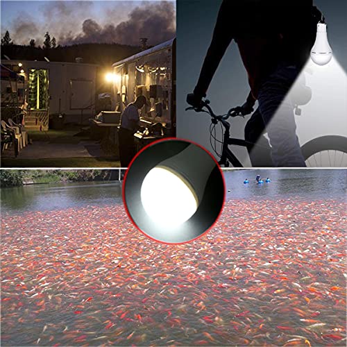 Solar Bulb Light Portable 300LM with Remote Control 4 Mode Led Lantern Indoor USB Charge Camping Light for Chicken Coop Lamp Hiking Fishing Tent Indoor Shed Emergency (2 Count)