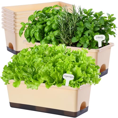 Window Box Planter 8 Pcs (8 Count)