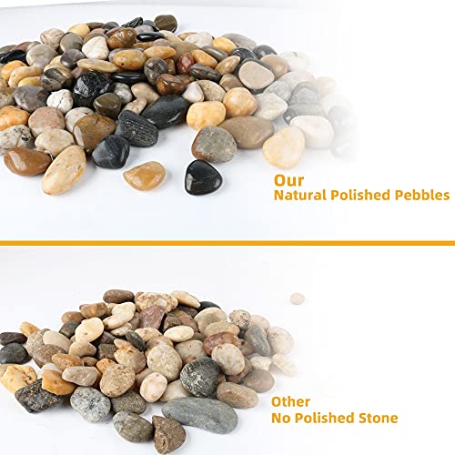 45lb Polished Pebbles for Plants Potting