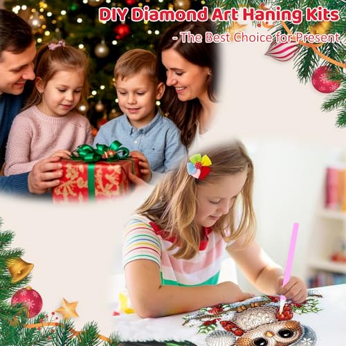 Christmas Owl Diamond Art Hanging Kits for Adult