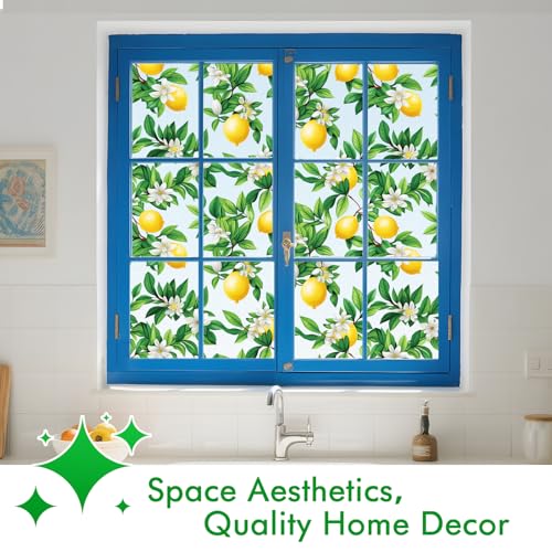 Frosted Window Privacy Film