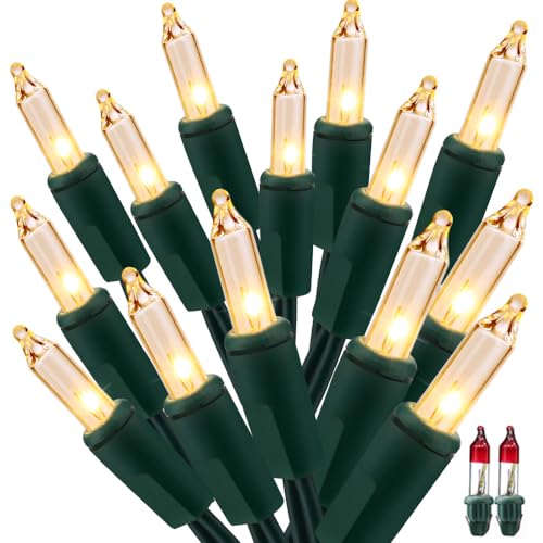 Steady & Twinkle Christmas Lights 100 (100 Count)