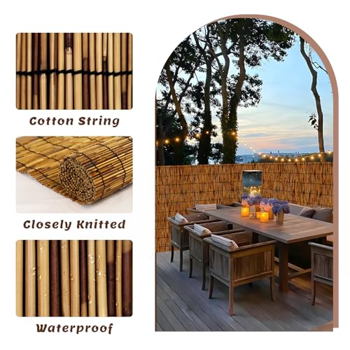 1 Pack Natural Reed Fence (65.6 Sq Ft)