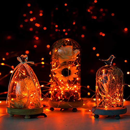 Orange Halloween Fairy String Lights Battery Operated
