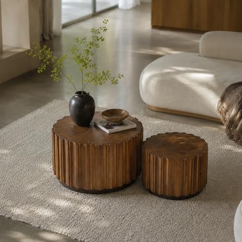 Nesting Round Coffee Table Set of 2