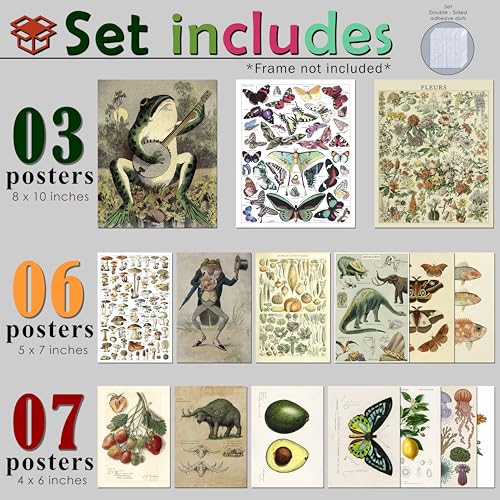 16 Pcs Unframed Vintage Botanical Biology Art (17 Count)