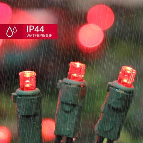 60LED Red Valentine Lights (60 Count)