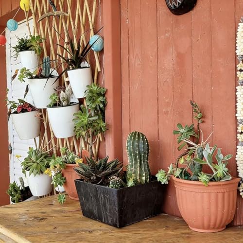 6 Pack Hanging Planter Wall Planter Self Watering 5 inch Plant Pot with Hardware Vertical Planter Outdoor Indoor Plants Herb Garden Home Décor Kitchen Balcony Railing Shelf Fence (6 Count)