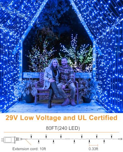 80FT 240 LED Christmas Lights Outdoor