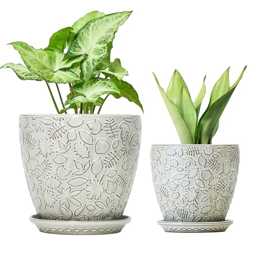 8 Inch + 6 Inch Retro Ceramic Planter Set of 2 with Drainage Hole and Saucer for Multiple Plants (2 Count)