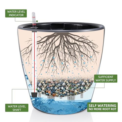 13x12 Self Watering Planter with Wheels