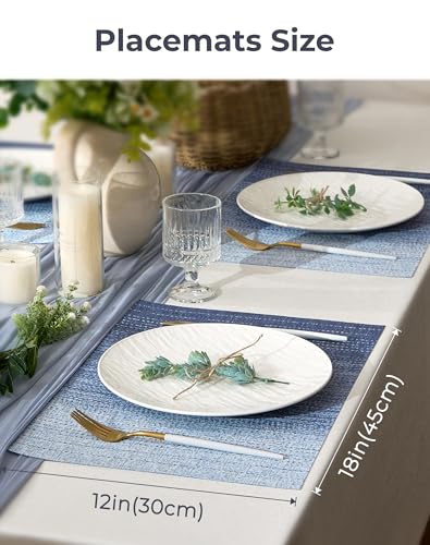 Gradient Blue Woven Placemats Set of 6 (3 Count)