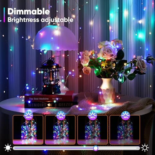 2 Pack 65.6 Ft. Battery Operated Outdoor String Lights with Remote & Timer (2 Count)