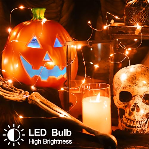 Thanksgiving Fall Decorations Orange Fairy Lights Battery Operated (33 Foot)