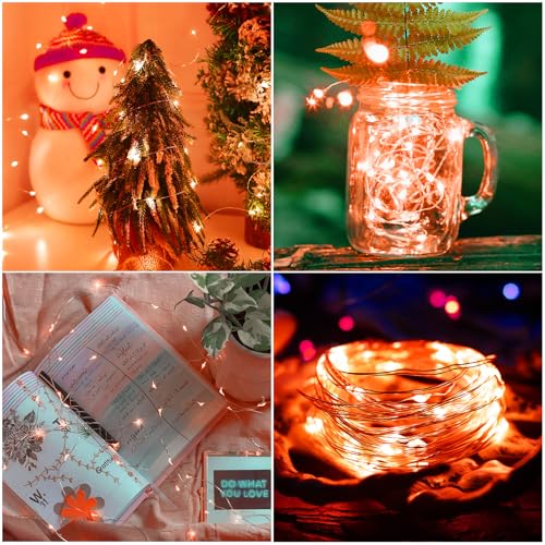 Thanksgiving Fall Decorations Orange Fairy Lights Battery Operated (33 Foot)