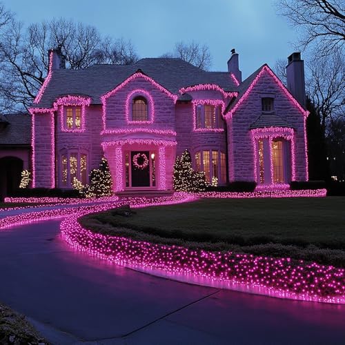 Christmas Lights (21 Foot)